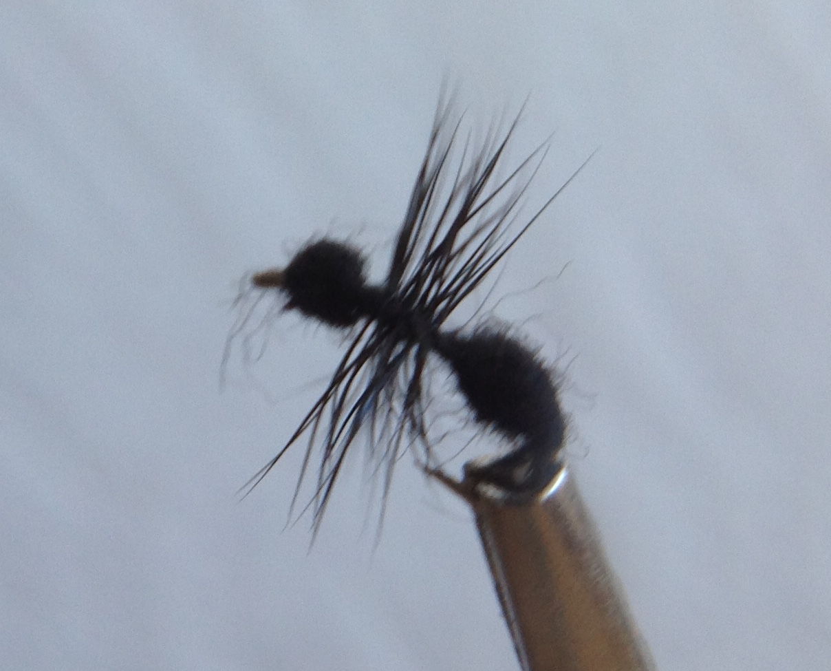 Ant, Black 1.50 Glenbow Flyfishing, Fine Fly Fishing Flies